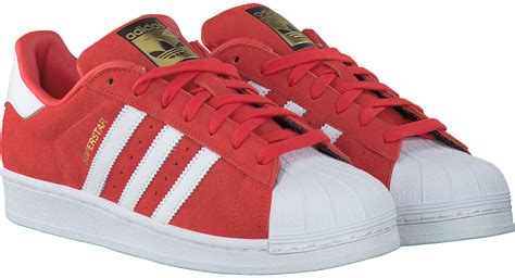 superstar adidas herren rot|Rote adidas Superstar .